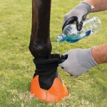 Shoof Tubbease Hoof Sock - Horse Poultice Boot